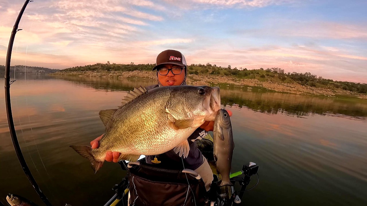 Big Baits Big Fish