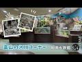 【魚津水族館】富山の河川コーナー🐟✨