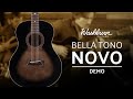 Акустична гітара Washburn BTS9CH-D-U