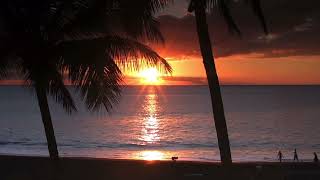 Staring At The Sun