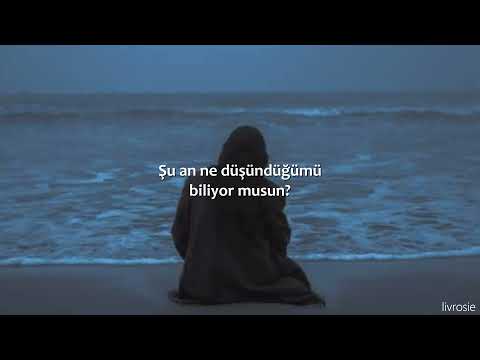 [Türkçe Çeviri] GEMINI - Know Me