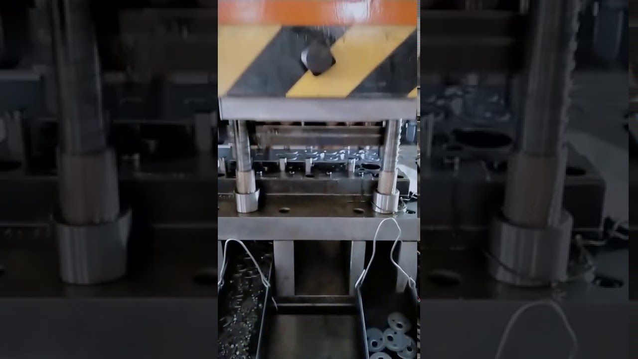 double cavity progressive stamping die