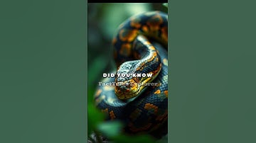 Unbelievable Snake Facts! #shorts #snake #facts