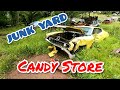 JUNKYARD LOADED WITH MUSCLE CARS, CLASSICS & MORE!
