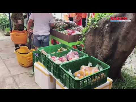 Video TPHCM: Triển khai 75 điểm bán hàng lưu động với 84... - youtube
