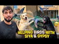 Saving Birds with Siya & Gypsy ❤️
