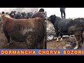 Dekabr🗓 DORMANCHA CHORVA BOZORI NARXLARI