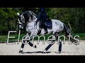 Elements  dressage music 