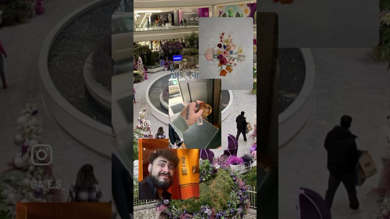 Alive ~ you my ride or die?