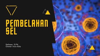 PEMBELAHAN SEL, MITOSIS, MEIOSIS DAN PERBEDAANNYA | BIOLOGI KELAS XII SMA