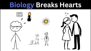 The Coolidge Effect – Why Monogamy is Hardwired Against Us (Psychology Facts)