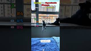 Ranking Cats Unpredictable Moments 🐈‍⬛😹#shorts #animals #funny