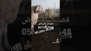 قصاب ماهر بالرياض ٠٥٧٧٦٥٧٥٤٨