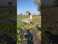 Small taki fishing #river