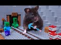 CUTE HAMSTER MINING TREATS in LEGO MINECRAFT WORLD