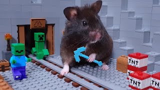 CUTE HAMSTER MINING TREATS in LEGO MINECRAFT WORLD