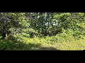 Lakepointe Dr Lot 25,  Flippin, AR 72634 - Richard Douglass - MLS 134168