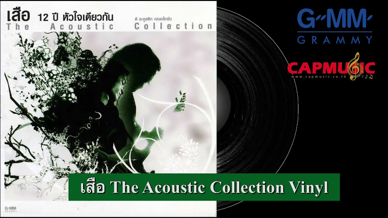 Vinyl เสือ The Acoustic Collection