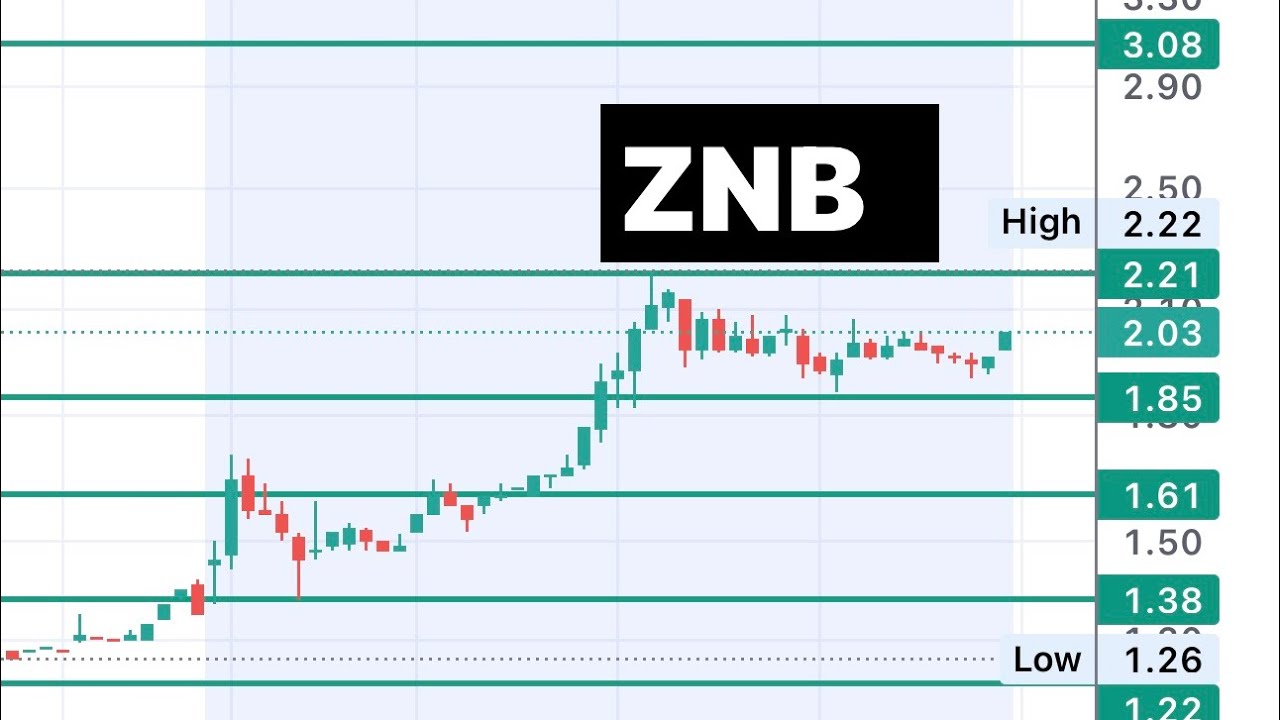 #ZNB
