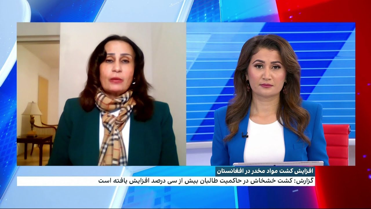 افزایش کشت مواد مخدر در افغانستان