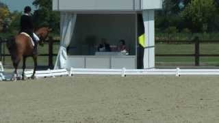 Defne Morova Balkan 2013 Team Championsip