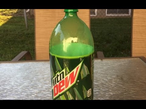 How to trap bees with Mountain Dew