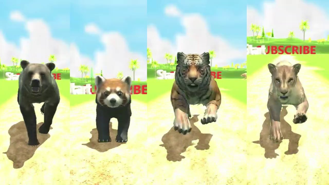 Bear vs Cat Category Animals Speed Race | Brown Bear, Red Panda, Tiger, Lioness