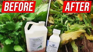 Kills Weeds but NOT the Lawn with These Two Products