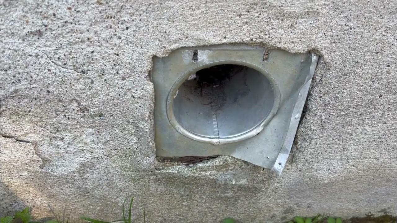 mice-getting-in-through-the-exhaust-vent-youtube