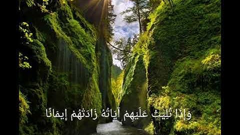 وديع اليمني - سورة الانفال