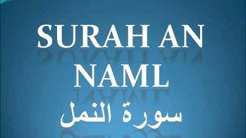 سورة النمل لعام 1420 من مسجد احمد بن حنبل للشيخ محمد ايوب