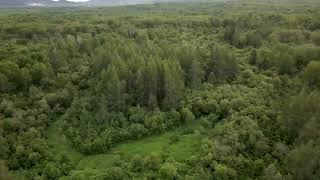 Vacant land for sale - Lot1 Con3 Meyers Rd. Dorion, Ontario