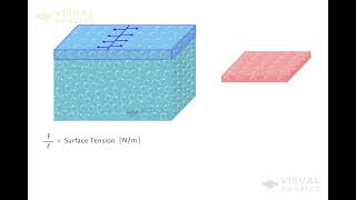 Fluid Mechanics : What is Surface Tension and Energy