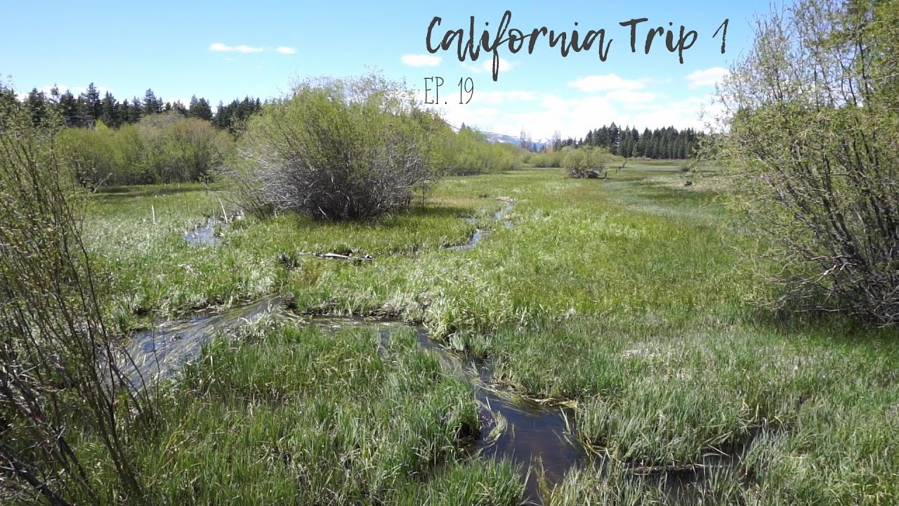 California Trip 1 Ep. 19 (Liveaboard Life)
