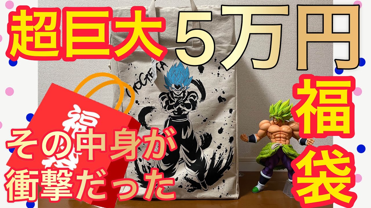衝撃の中身 ドラゴンボール高額5万円福袋を買って見た いったい中身は