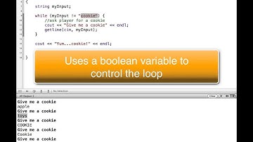 C++ while Loop Types