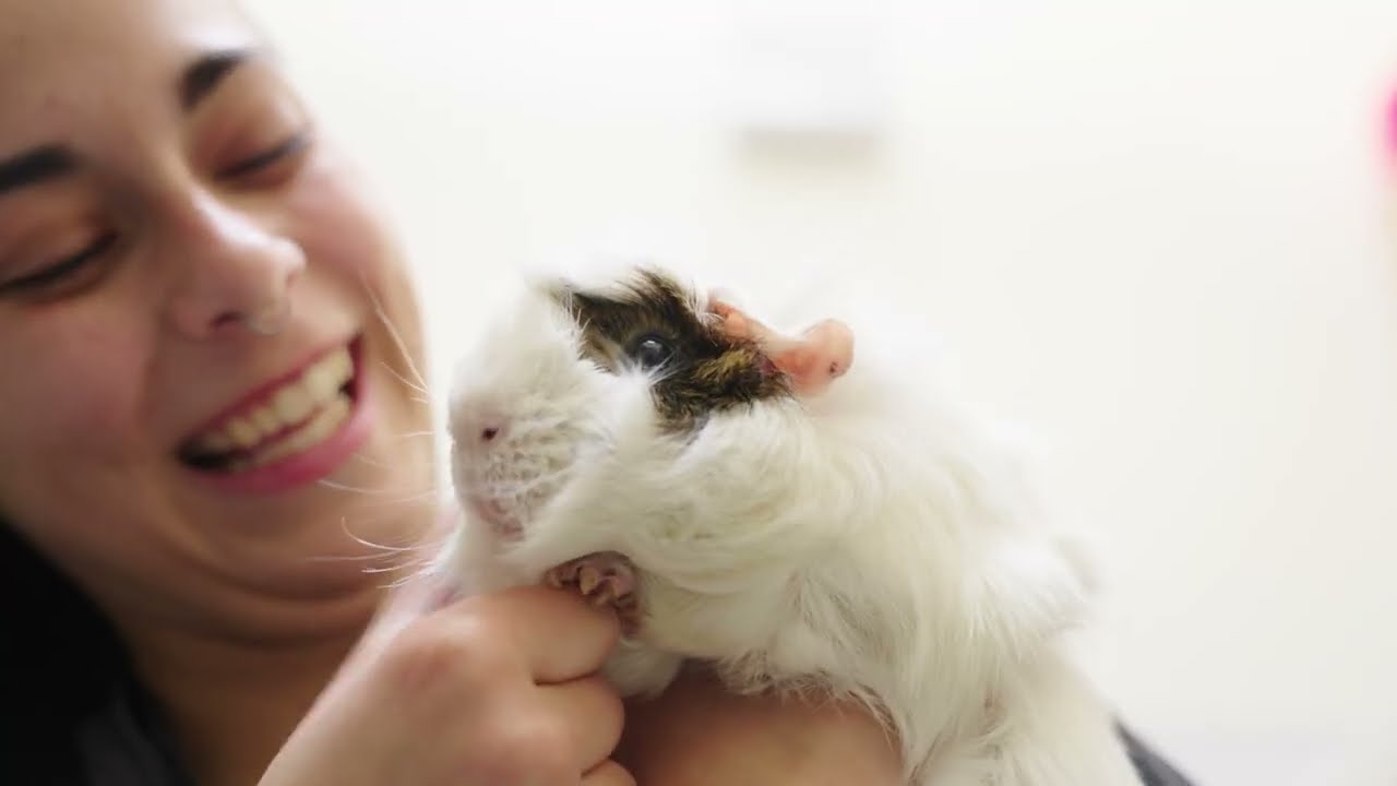 Being closer to us - brings them closer to home, Guelph Humane Society