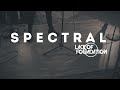 Lack of foundation  spectral official