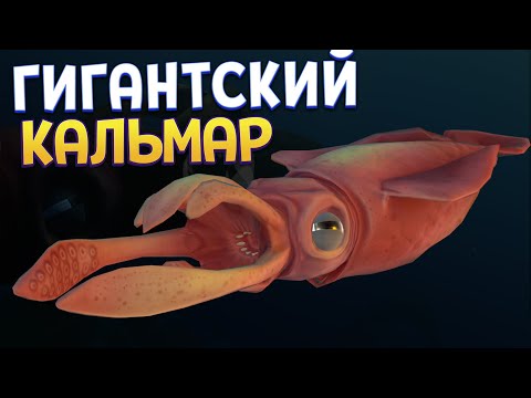 Видео: СЕКРЕТНЫЙ ГИГАНТСКИЙ КАЛЬМАР ( Feed and Grow: Fish )