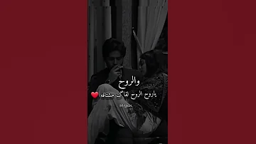 حالات واتساب وانستغرام للحبيب الروح يا روح الروح لقاك مشتاقه 
