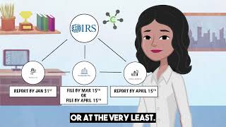 Learn The 3 Departments Of The Irs