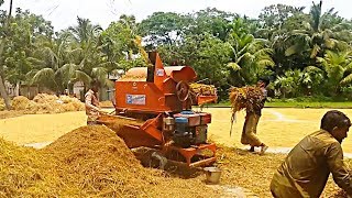 Rice Thresher Machine | Paddy Thresher | Rice Harvest In Bangladesh