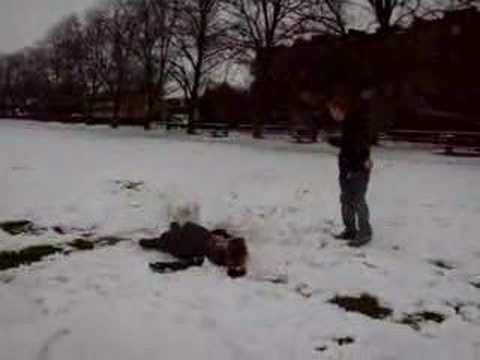 Snow ramming in the park