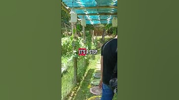 Why Failing is the First Step to Success | Fail to Learn #learning #motivation #personalgrowth