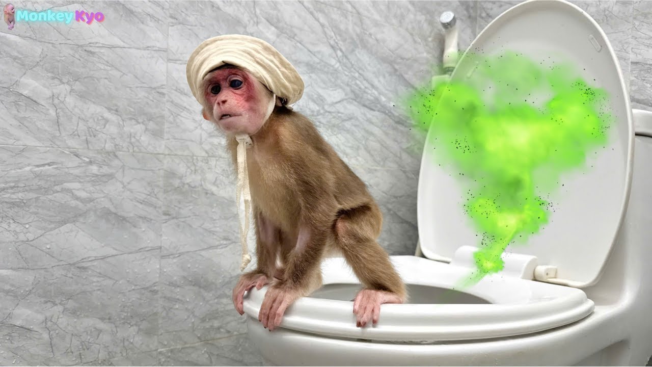 Kyo's super funny story when hiding from dad to go to the market!