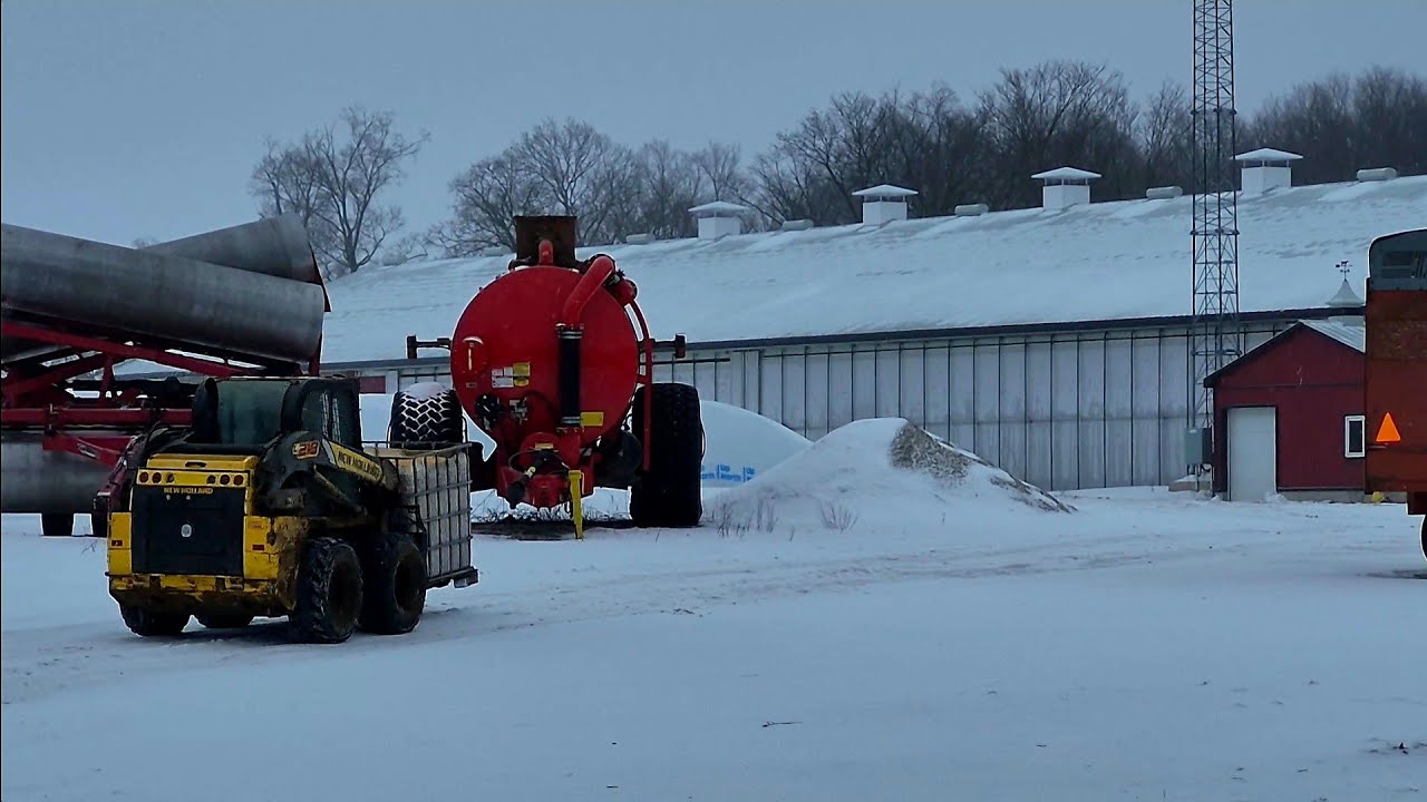 Волшебство доения коров на Рождество! 🎄 (Часть 2)