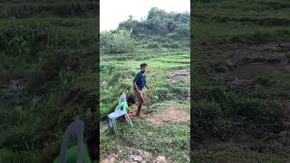 Instant Laugh Therapy 😂 Try Not To Laugh!