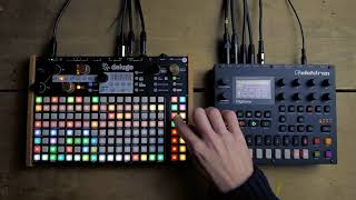 Synthstrom Deluge & Elektron Digitone - Simple Jam