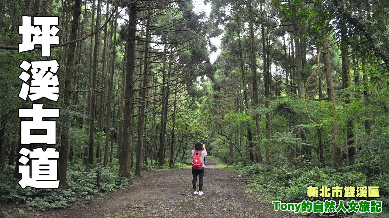 新北市雙溪 坪溪古道 Tony的自然人文旅記第1332篇