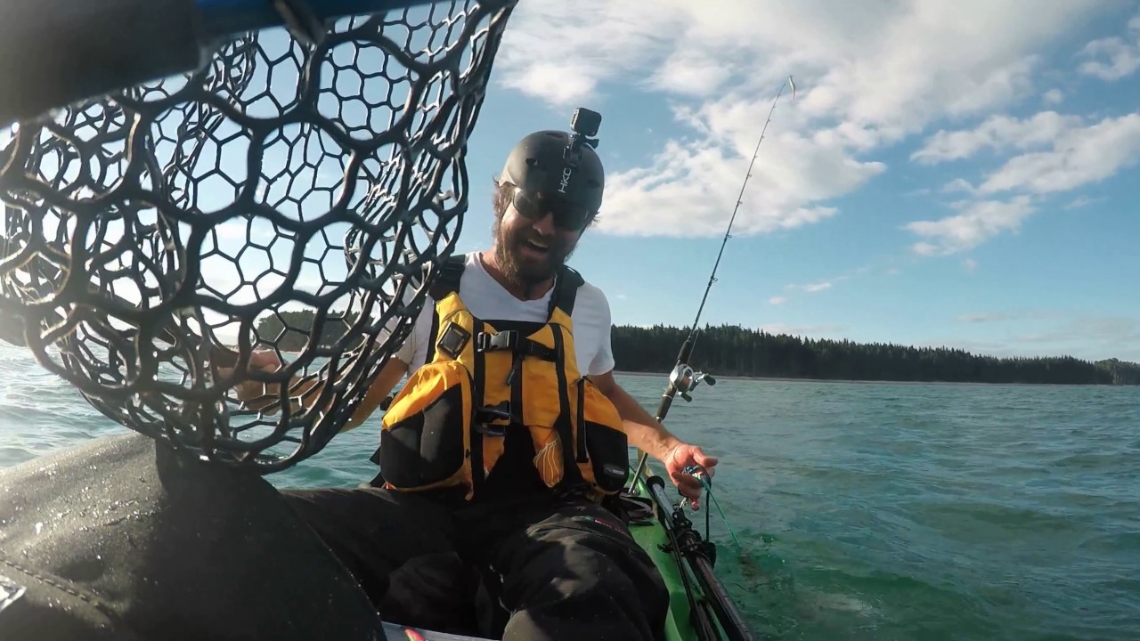 Kayak Fishing NZ - Tauranga Harbour (funny) - YouTube